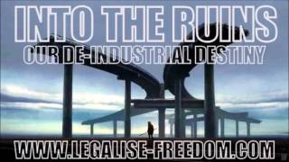 Joel Caris - Into the Ruins: Our De-Industrial Destiny