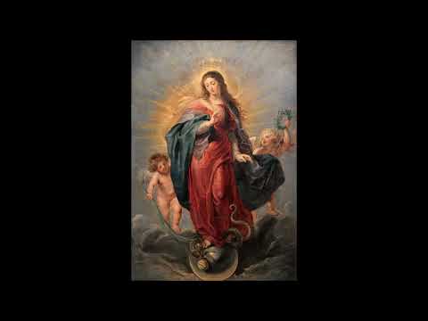 In Conceptione Immaculata Beatae Mariae Virginis - COMMUNIO