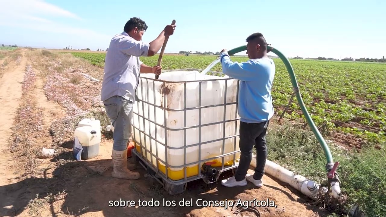 José Luis nos habla de su experiencia con los plaguicidas en San Quintín, Baja Califotrnia