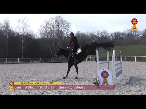 Verkaufswoche Moritzburg