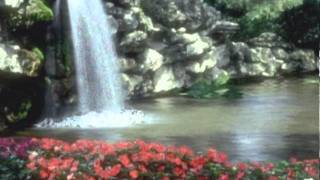 Ƹ̵̡Ӝ̵̨̄Ʒ Bianca Ryan - Dream In Color Ƹ̵̡Ӝ̵̨̄Ʒ