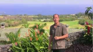 preview picture of video '704 MOKULEIA PLACE, KAPALUA MAUI · RayChin.com'