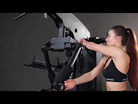 Multi Station Home Gym