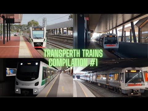 C.J The Allrounder and Bodhi's Photos