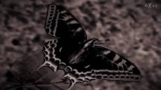 Book Of Love - Lullaby (Pleasant Dream Mix)(Music Video)