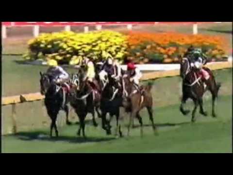 1991 Ranvet Stakes - Super Impose