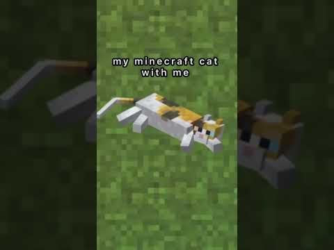 Minecraft cat vs creeper - EPIC showdown! 😂 #viral