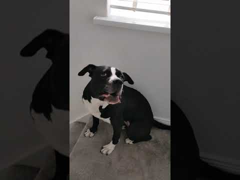 Zeena has to have the last word.