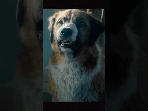 Buck vs Nature! The Fight for Survival 🐺❄ | The Call of the Wild #thecallofthewild#buck #movie