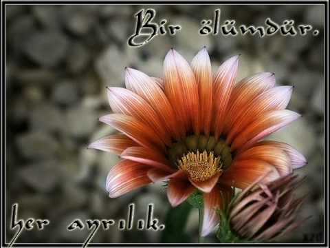 DJ Ozzyman feat Ela - Ask Oyunu