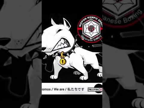 Nippon kempo España