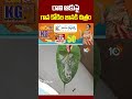 రావి ఆకుపై గాన కోకిల జానకి చిత్రం #ganakokila #sjanaki #janakisongs #10tvnews #sjanakiart - Video