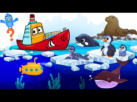 Animalele de la Polul Sud - Logica pentru copii mici