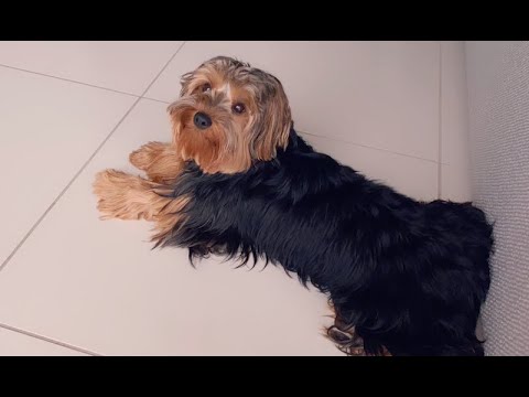 Movimiento Forever: Billy