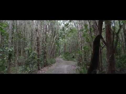 1619 Louis Bazzo Drive, Boreen Point, QLD 4565, 4 침실, 1 욕실, House