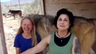 Tina & Vic w/ISTAS @ Wolf Mountain Sancutary (Lucerne, CA.)