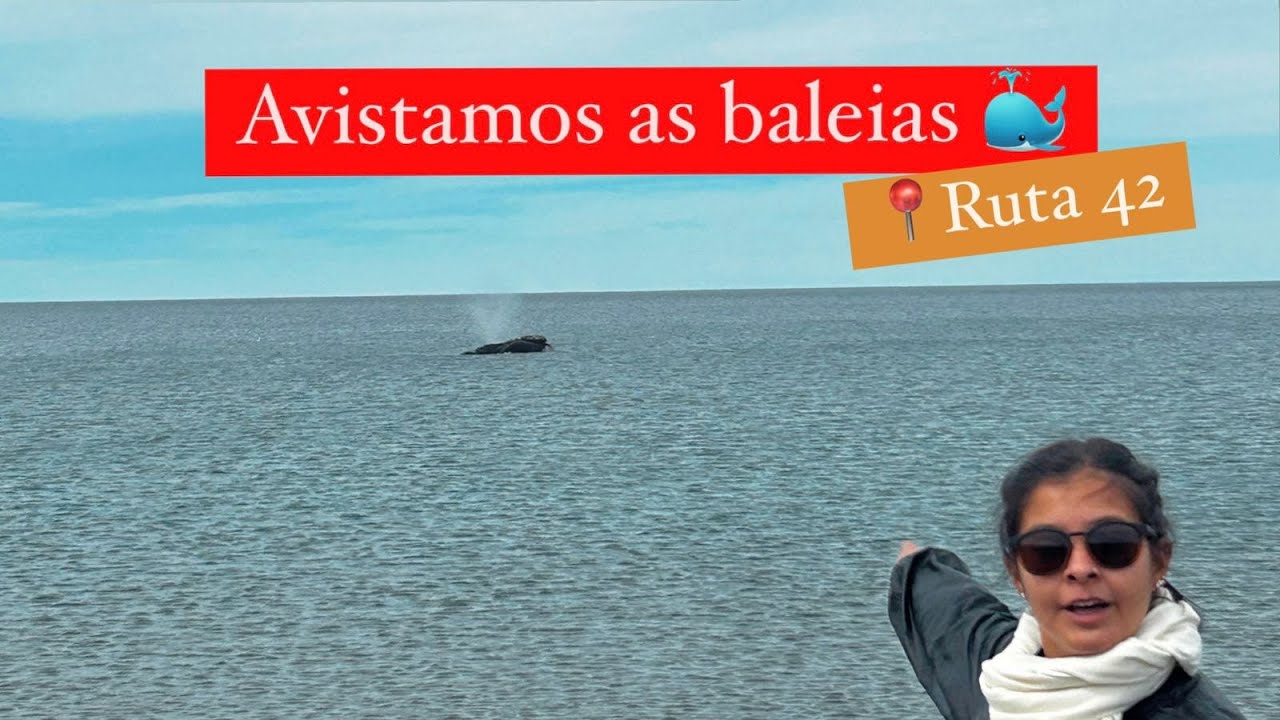 Avistamos as baleias em Puerto Madryn!