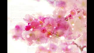 [Oriental] Plum - 재회 (再會) / 이야기의 끝맺음, 아련하고 환상적인 동양풍 뉴에이지