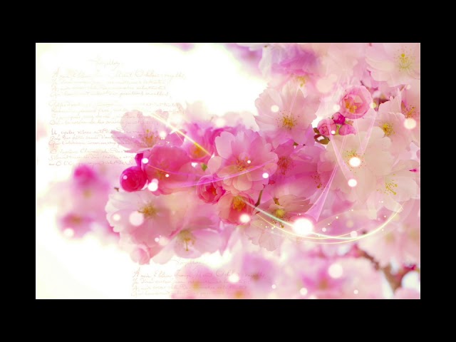 [Oriental] Plum - 재회 (再會) / 이야기의 끝맺음, 아련하고 환상적인 동양풍 뉴에이지