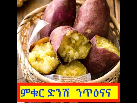 ምቁር ድንሽ ንጥዕናና ምሩጽ፣ ስለምንታይ????