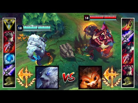 VOLIBEAR vs GNAR FULL BUILD FIGHTS & Best Moments!