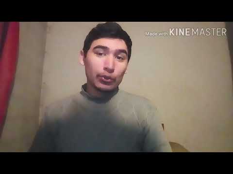 PREGUNTAS BOLUDAS #2