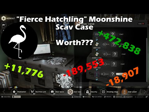Running the "Fierce Hatchling" Moonshine Scav Case Fifty Times (How Profitable It Actually Is)