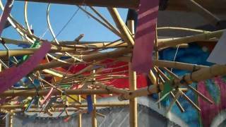 Wish Tree at Juxta - FLOW