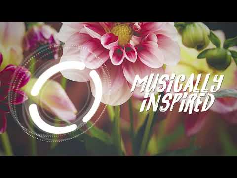 Fergalicious X Drugs From Amsterdam (Carter Walsh Mashup)