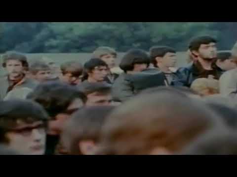 TYRANNOSAURUS REX   Debora