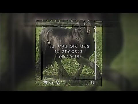dj venom branco - tu joga pra tras tu encosta encosta (slowed + reverb)
