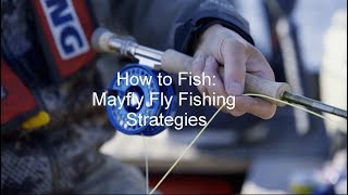 How to Fish: Mayfly Fly Fishing Strategies | GoFishBC