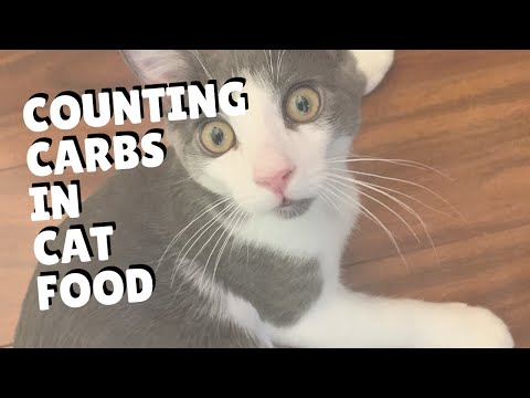 Counting Carbs In Cat Food | Two Crazy Cat Ladies