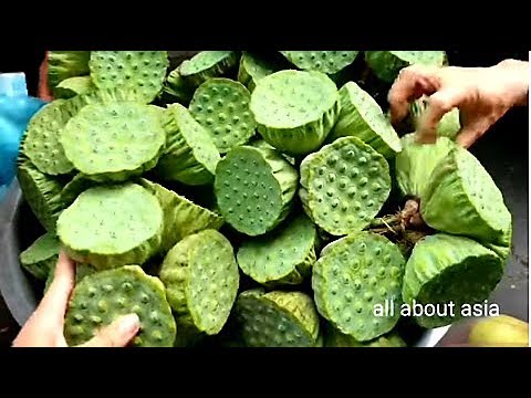 Cambodian Street Food - Mixed Street Food In Phnom Penh Market