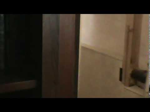 The Library Of Bolt Castle (Hidden Secret Passage)