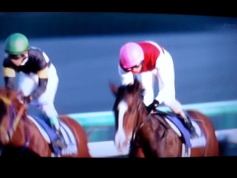 2014 第66回 阪神ジュベナイルフィリーズ G1  レース  結果。HANSHIN JUVENILE FILLIES  G1 Races results.