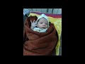 Baby Dil Hai Chhota Sa Song