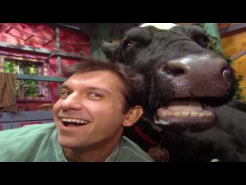 🐘 Zoboomafoo with the Kratt Brothers! HD | Full Episodes Compilation 4 🐘