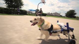 Unlikely Best Friends