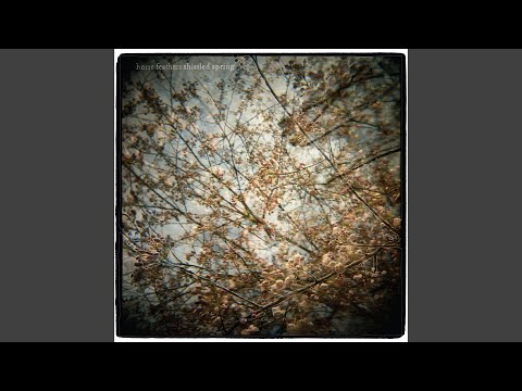 Vernonia Blues - Horse Feathers