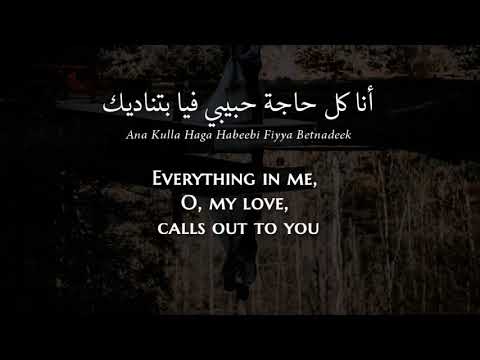 Sherine - Ana Kully Melkak (Egyptian Arabic) Lyrics + Translation - شيرين - أنا كلي ملك