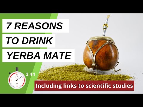 HEALTH BENEFITS OF YERBA MATE | 7 Reasons to Drink Yerba Mate
