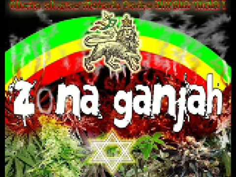 Intelecto Perfecto - Zona Ganjah