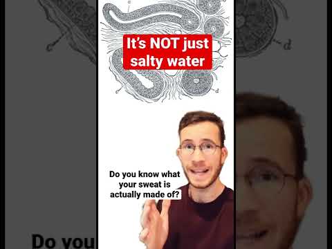 What is sweat made of?? #sweat #science #hyperhidrosis