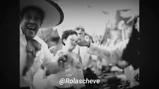 Genitallica - Borracho / Letras