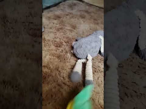 Dies rip toon link😭🇧🇪🇦🇸🇧🇩🇧🇪🇦🇹🇧🇩🇧🇪🇦🇸🇧🇩🇧🇩🇫🇲🇬🇷🇬🇩