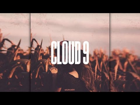 MODERN COUNTRY | Wildflowers Feat. Easton - Cloud 9 | LYRICS IN D