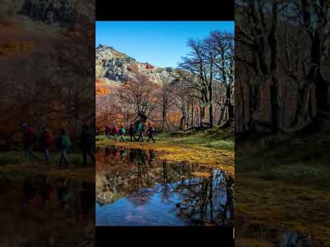 Tolhuin tierra del fuego argentina🫶