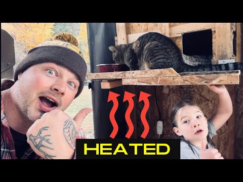 YouTube video about: How to heat a cat house without electricity?