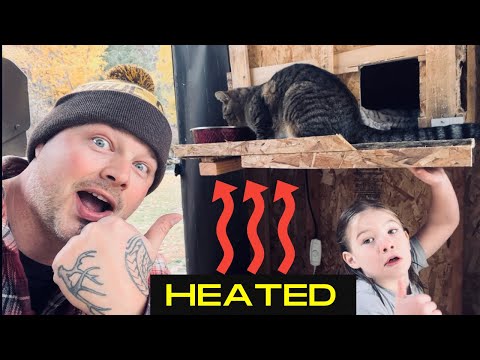 DIY Outdoor CAT shelter | How to build a HEATED Cat shelter | WINTER CAT SHELTER